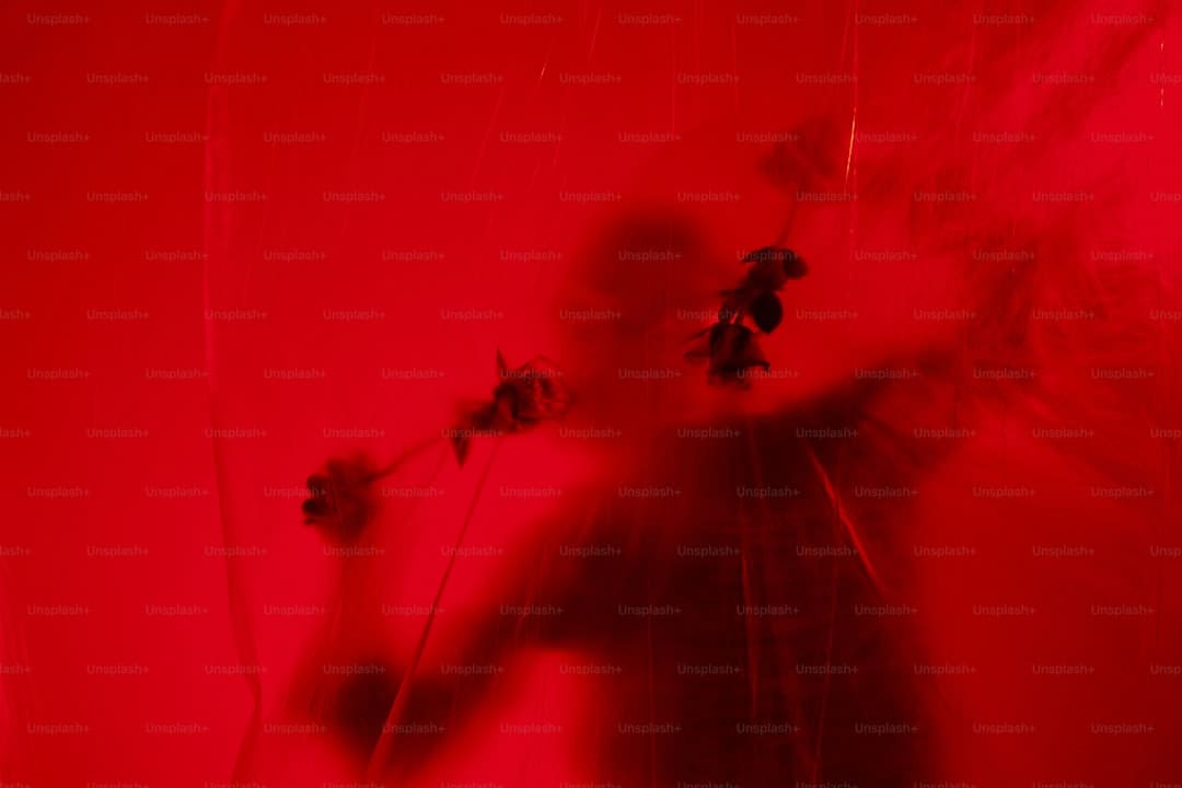 http://n.sinaimg.cn/news/transform/w600h400/20180310/GGAB-fxpwyhw5877713.jpg?zdy